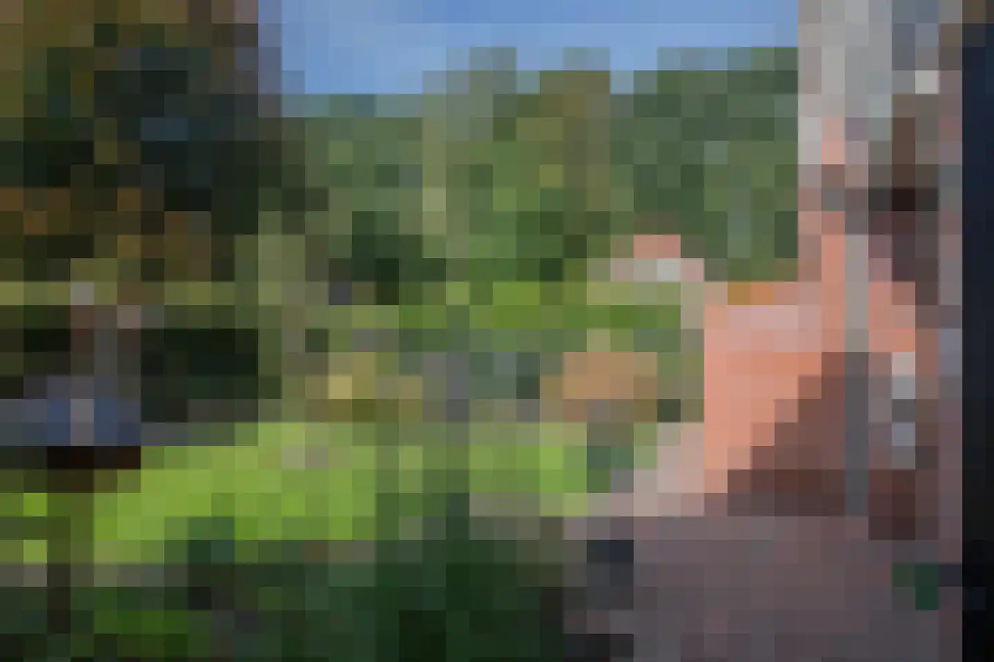 Dorigweg 52 Sellingen thumbnail 36
