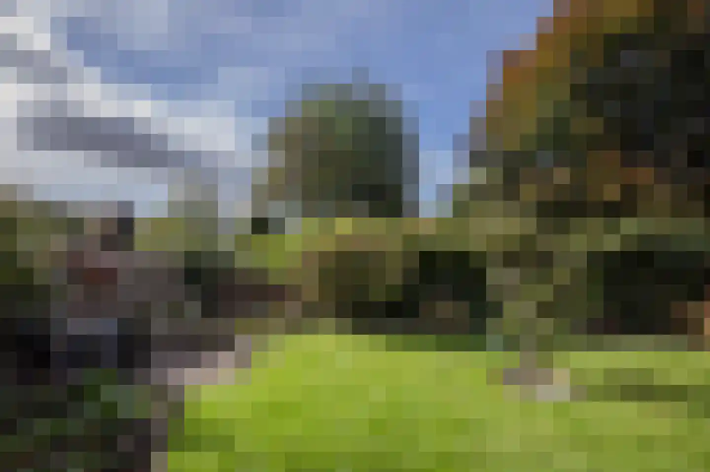 Dorigweg 52 Sellingen thumbnail 39