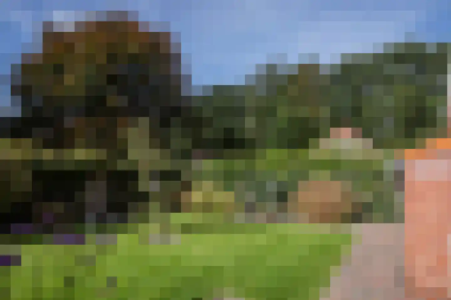 Dorigweg 52 Sellingen thumbnail 40