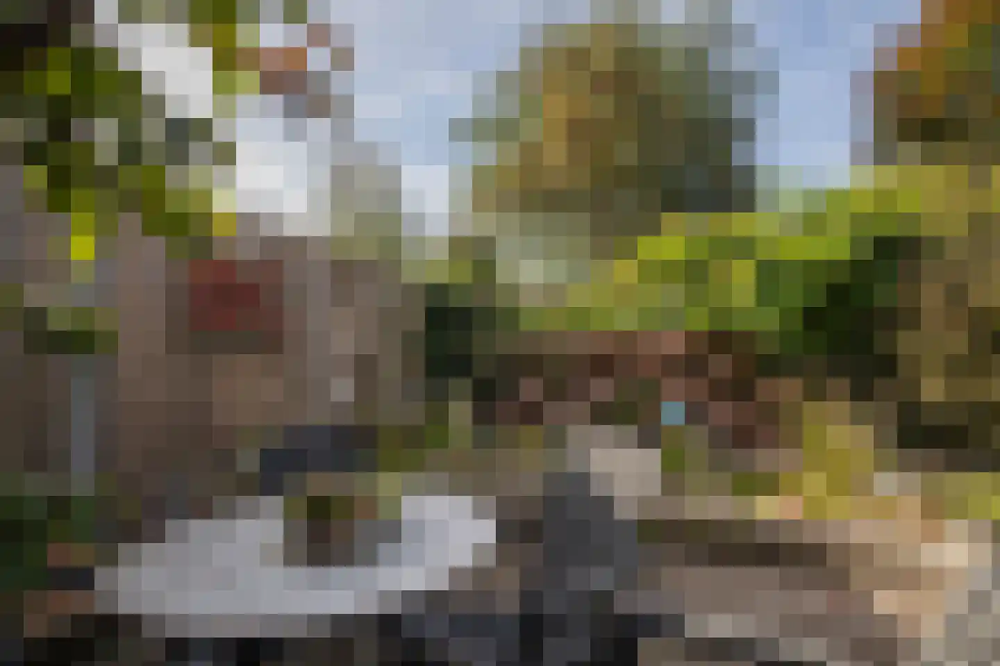 Dorigweg 52 Sellingen thumbnail 41