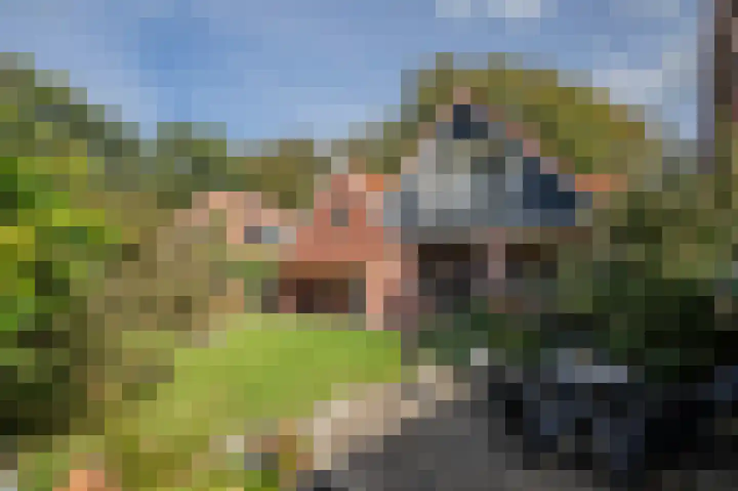 Dorigweg 52 Sellingen thumbnail 43