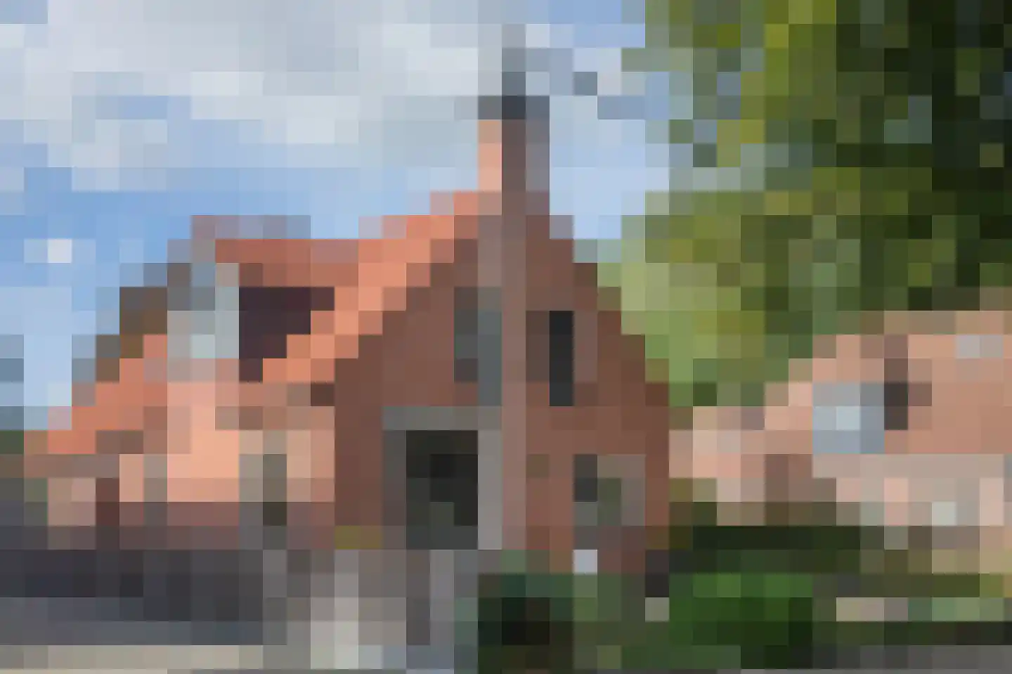 Dorigweg 52 Sellingen thumbnail 6
