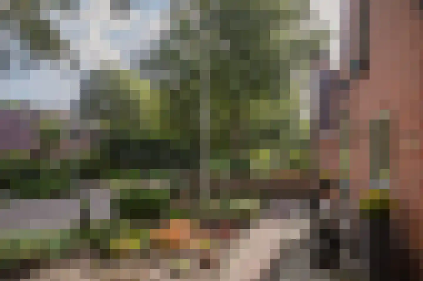 Dorigweg 52 Sellingen thumbnail 7