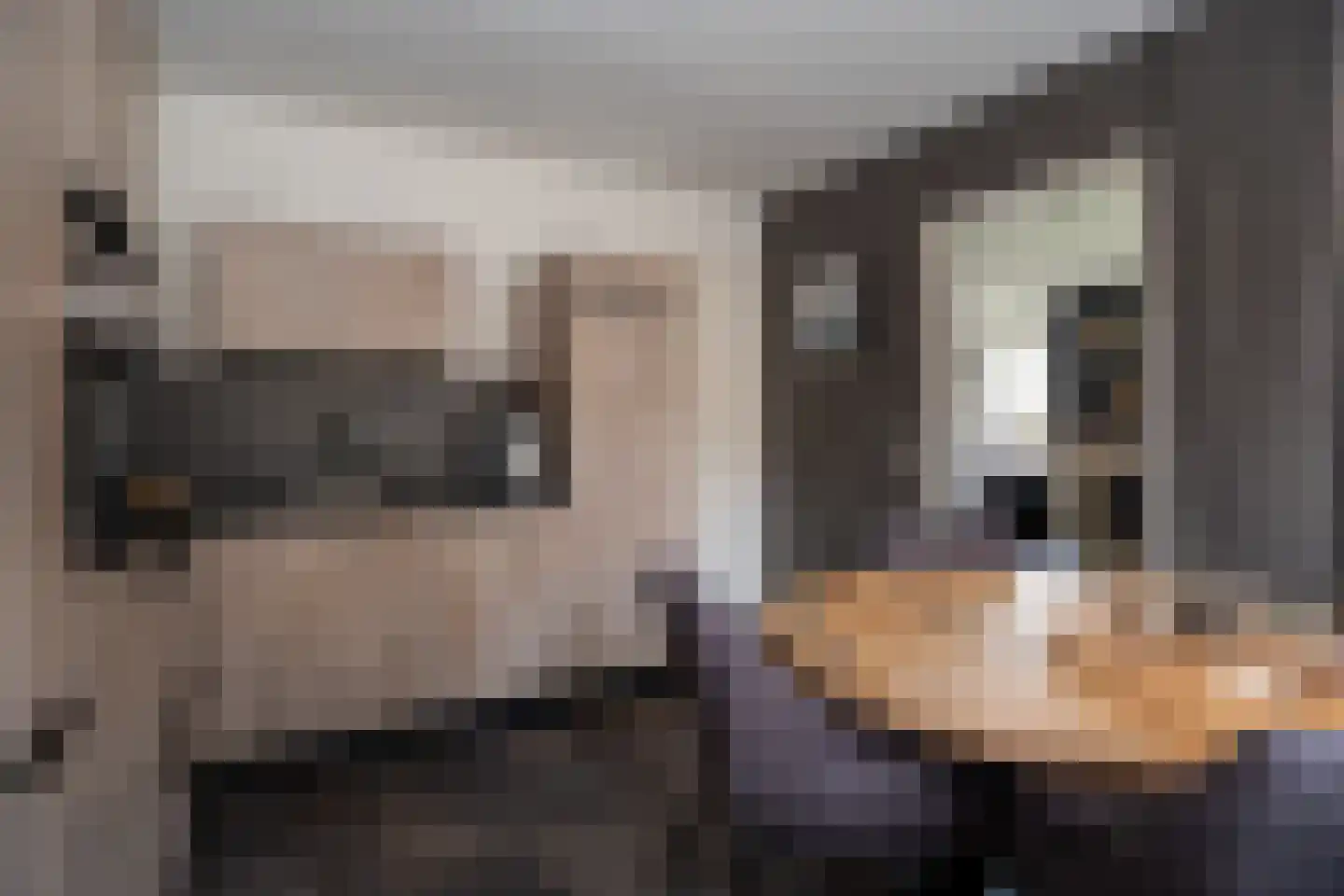 Dorigweg 54 Sellingen thumbnail 11
