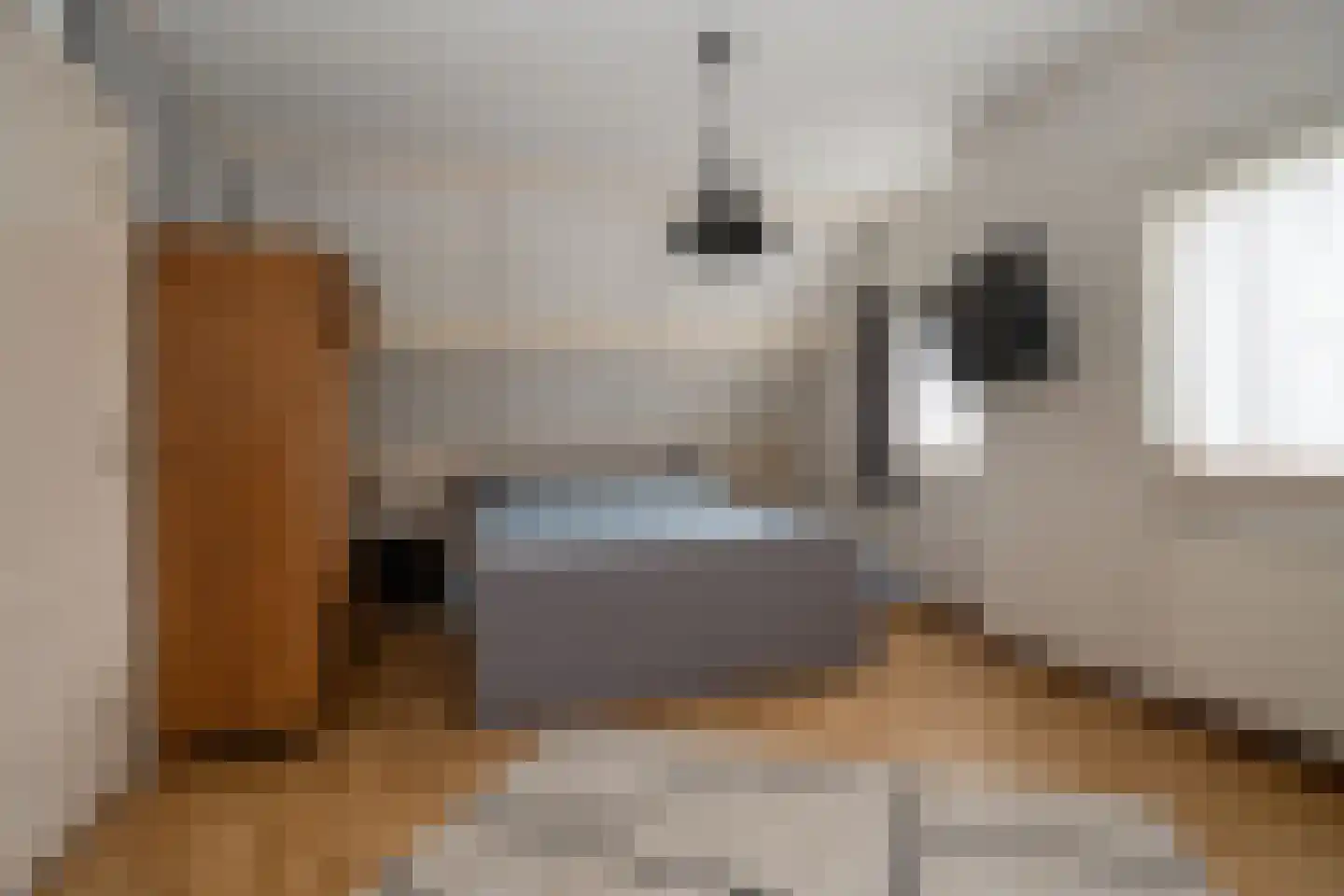 Dorigweg 54 Sellingen thumbnail 18