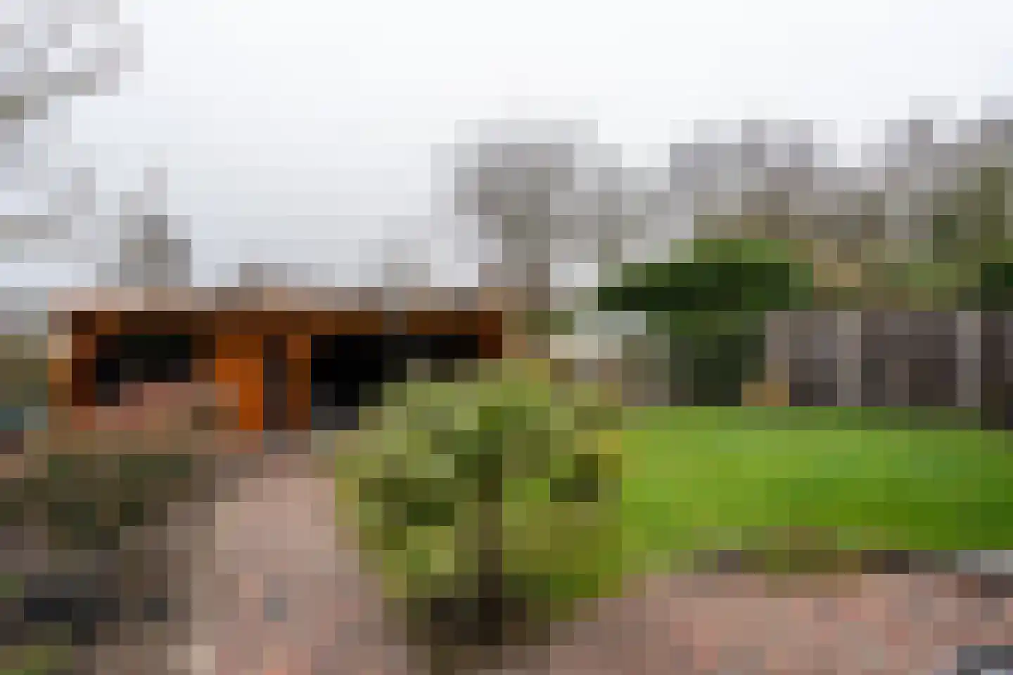 Dorigweg 54 Sellingen thumbnail 20