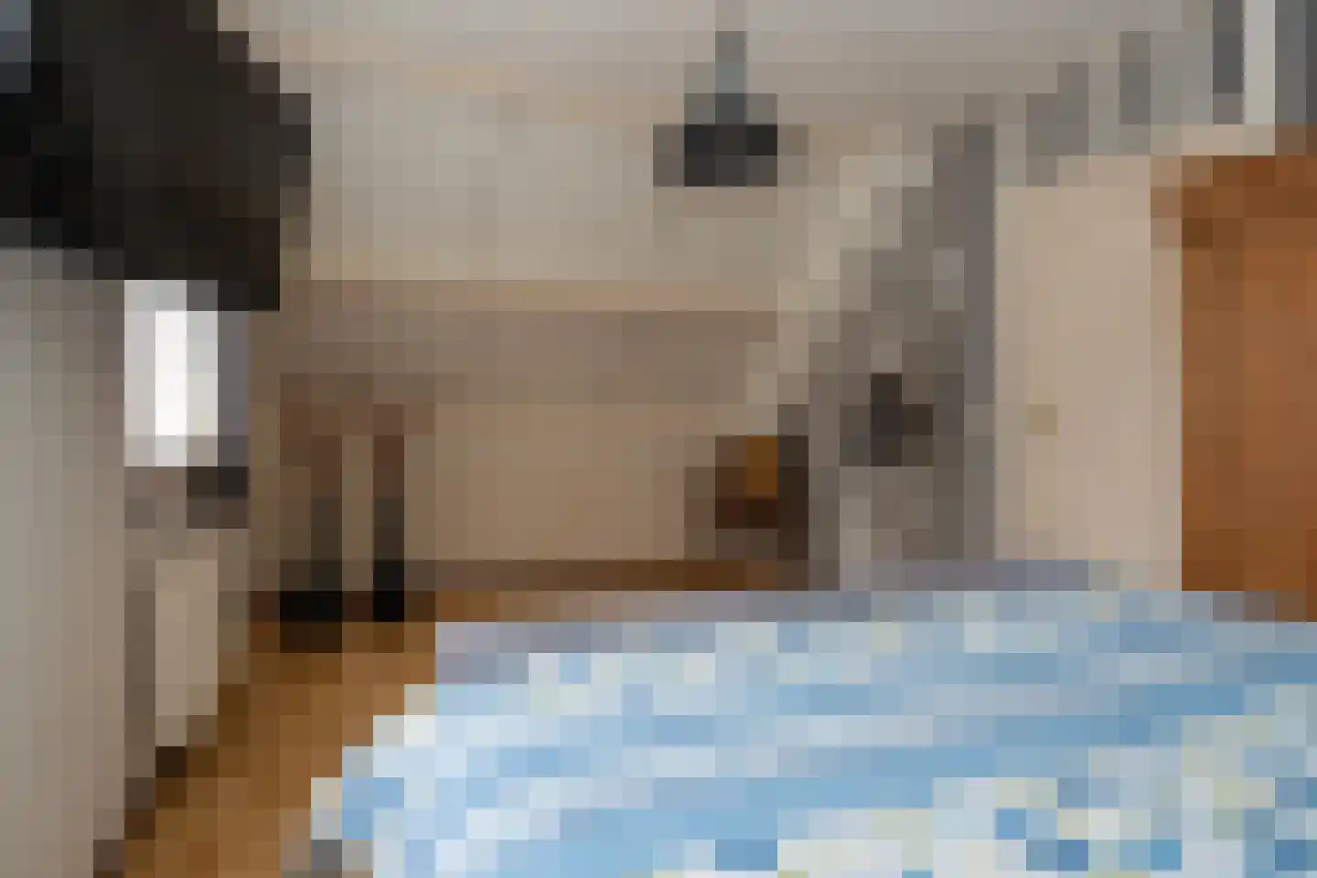 Dorigweg 54 Sellingen thumbnail 20