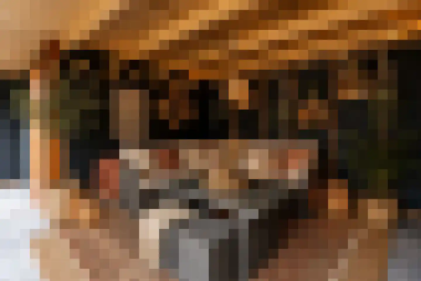Dorigweg 54 Sellingen thumbnail 23