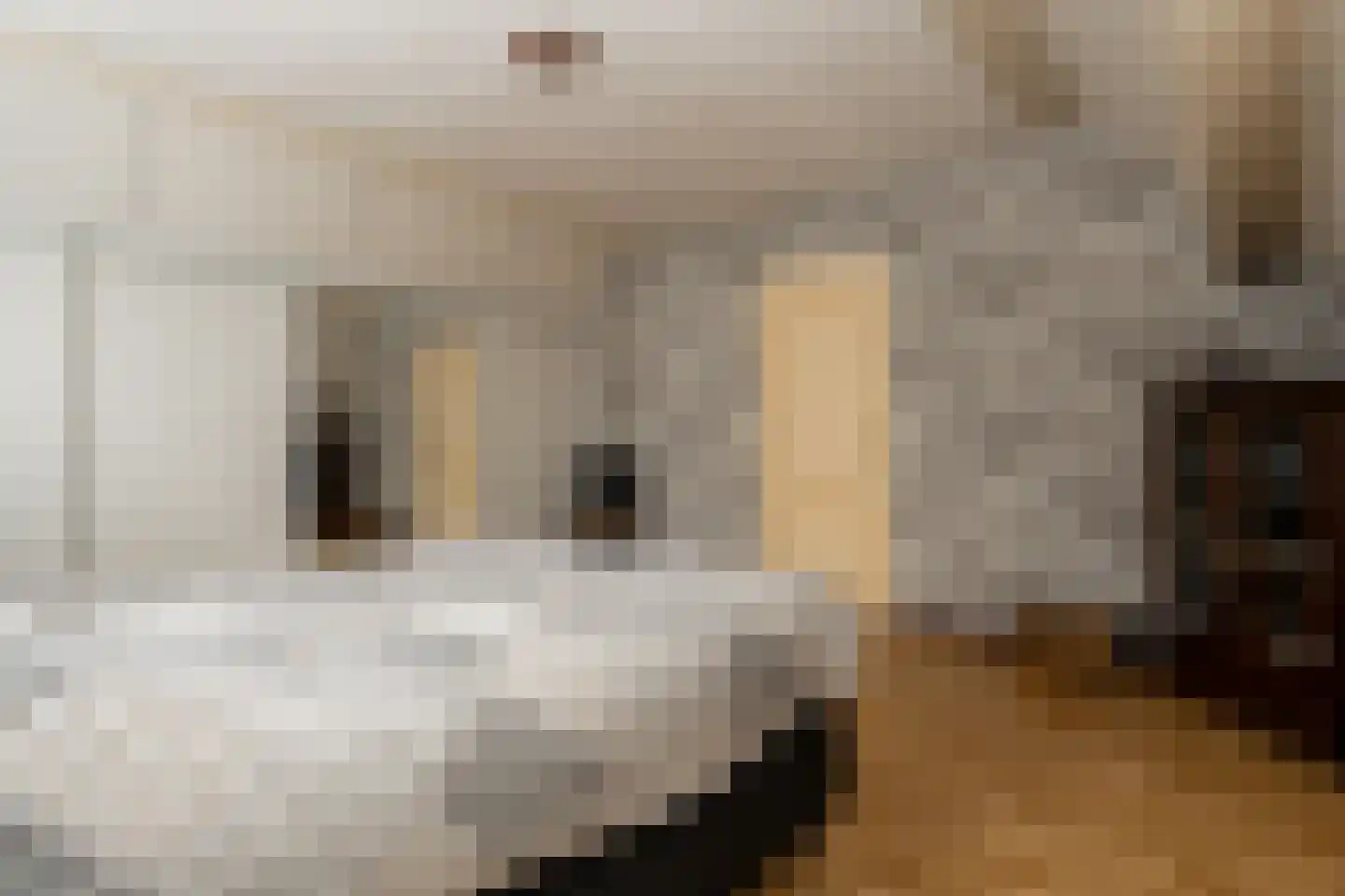 Dorigweg 54 Sellingen thumbnail 23