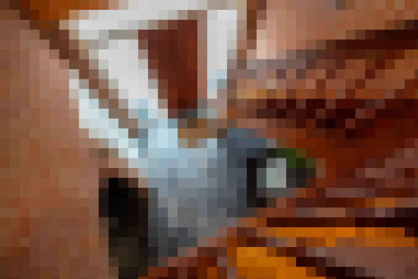 Dorigweg 54 Sellingen thumbnail 24