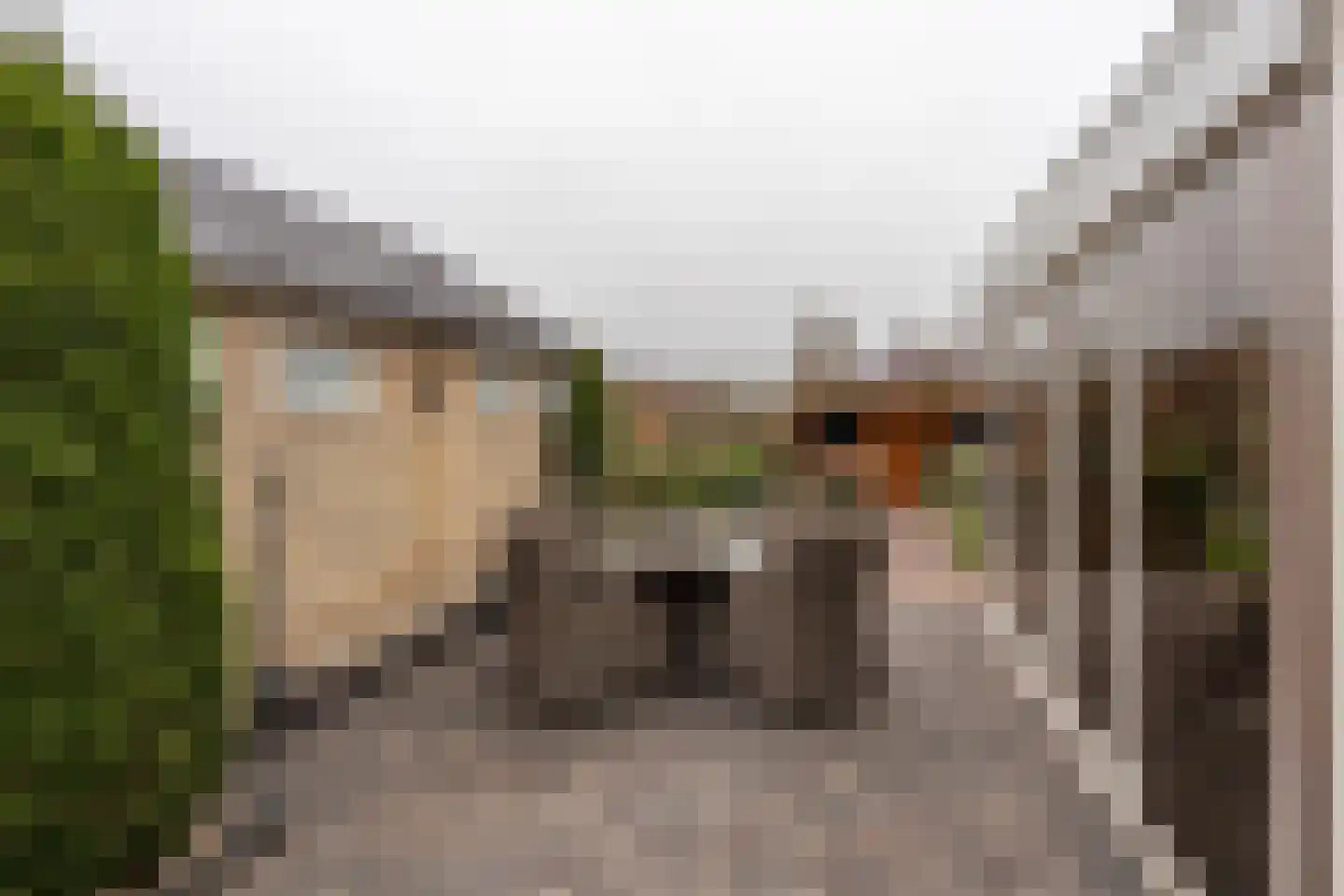 Dorigweg 54 Sellingen thumbnail 28
