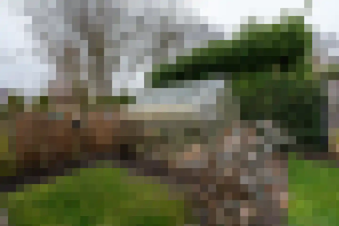 Dorigweg 54 Sellingen thumbnail 33