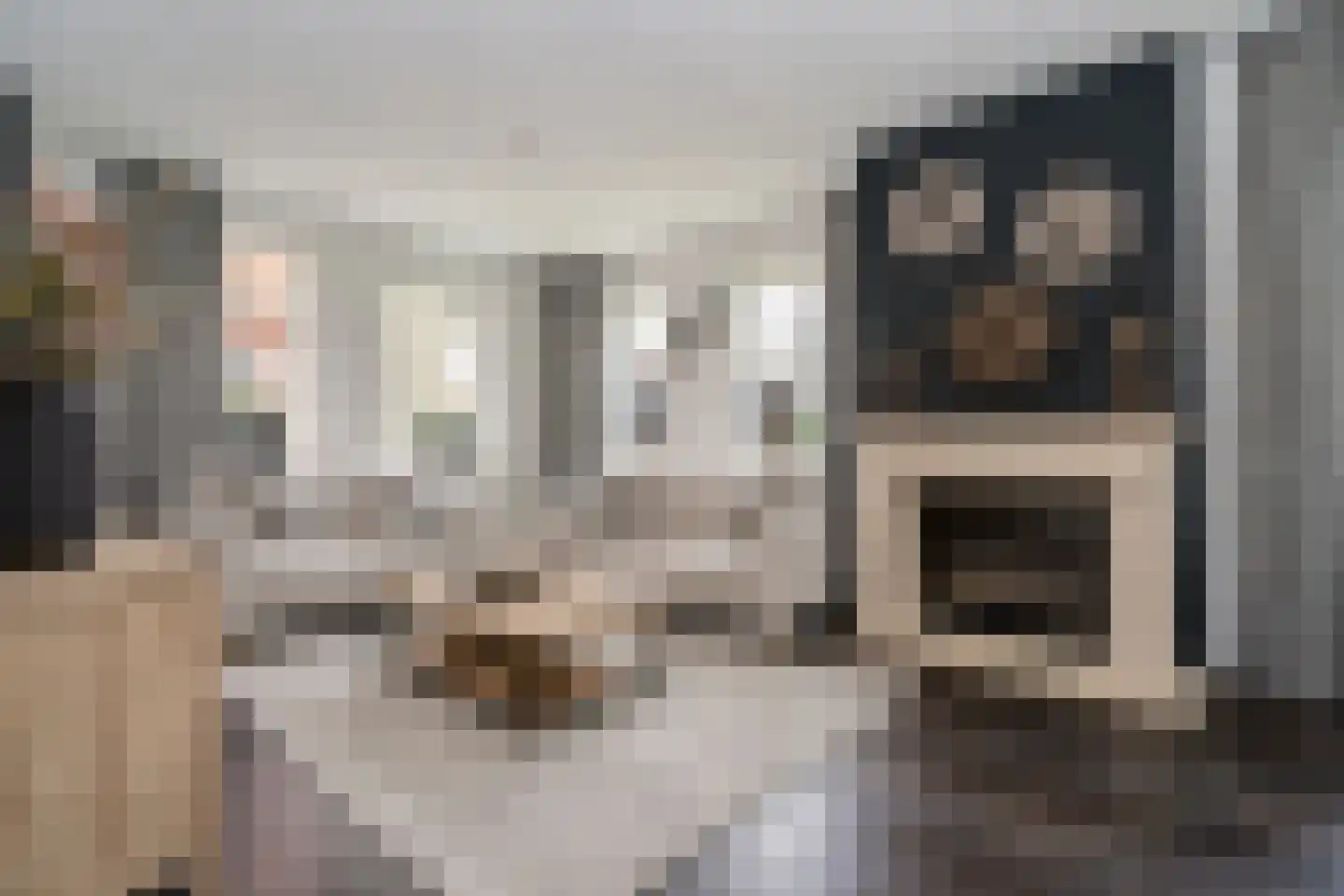 Dorigweg 54 Sellingen thumbnail 5