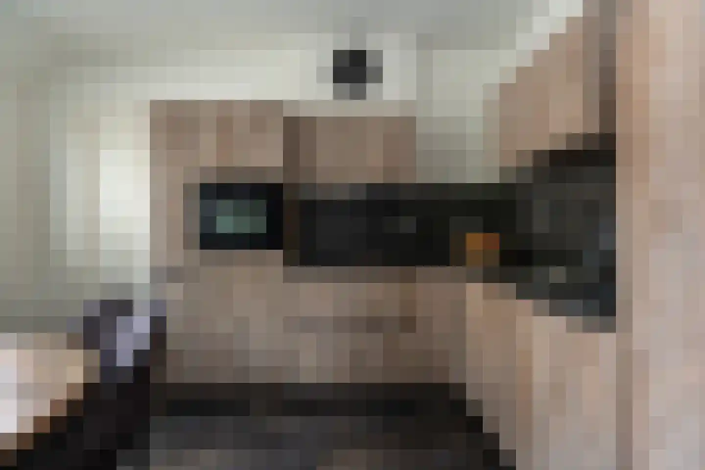 Dorigweg 54 Sellingen thumbnail 7