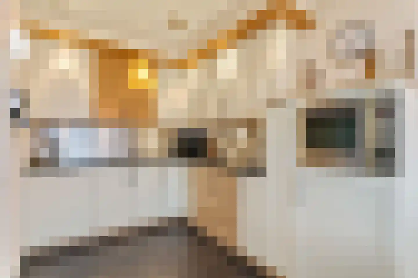 Dorine Verschureplein 13 a Elsloo thumbnail 16