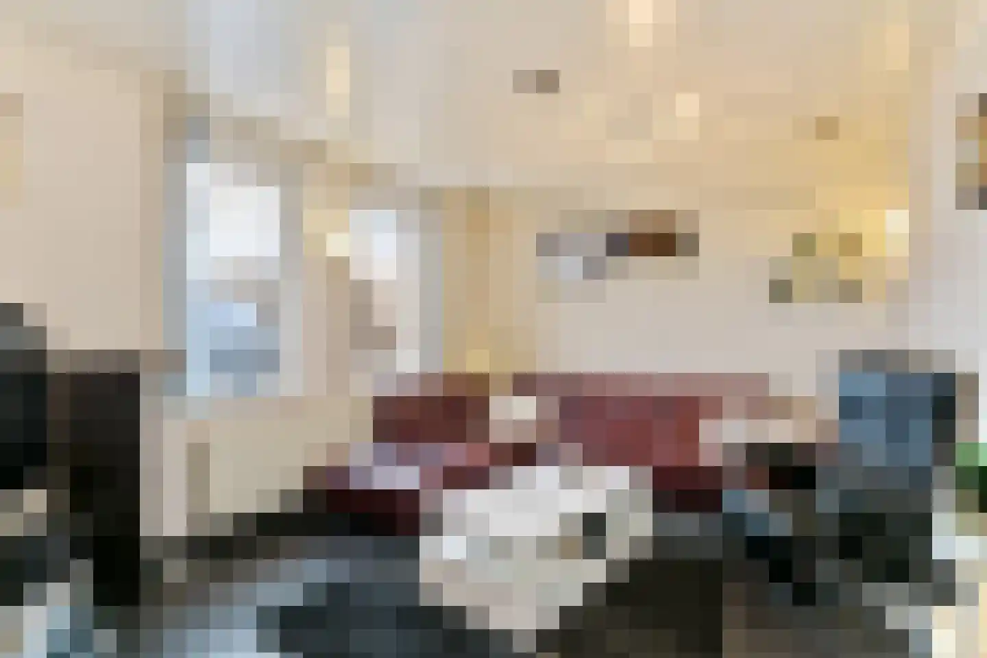 Dorine Verschureplein 13 a Elsloo thumbnail 18