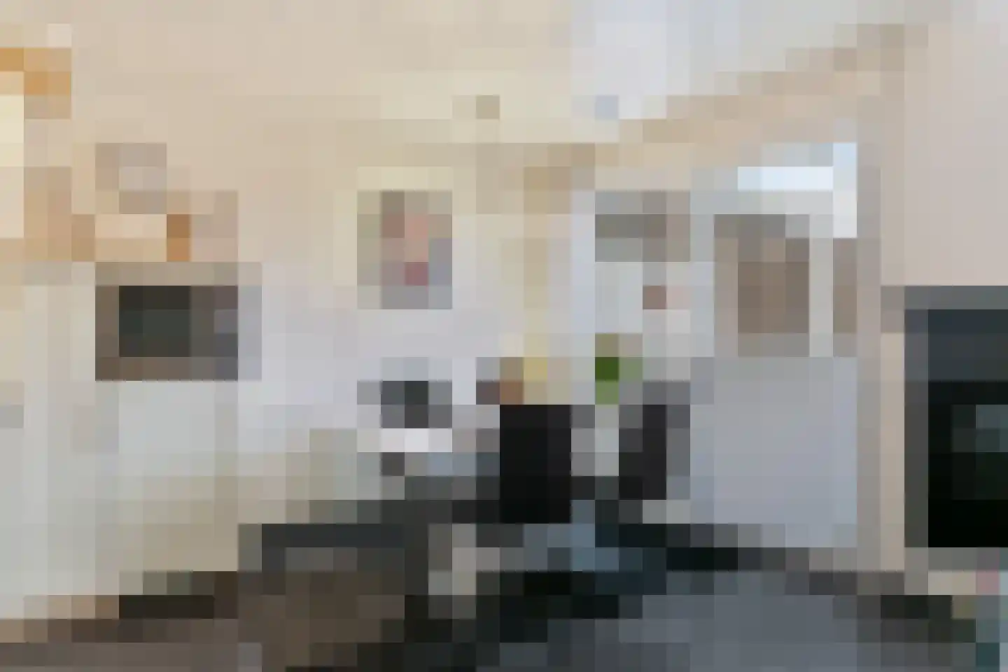 Dorine Verschureplein 13 a Elsloo thumbnail 19