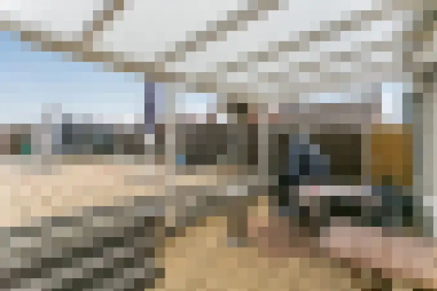 Dorine Verschureplein 13 a Elsloo thumbnail 21