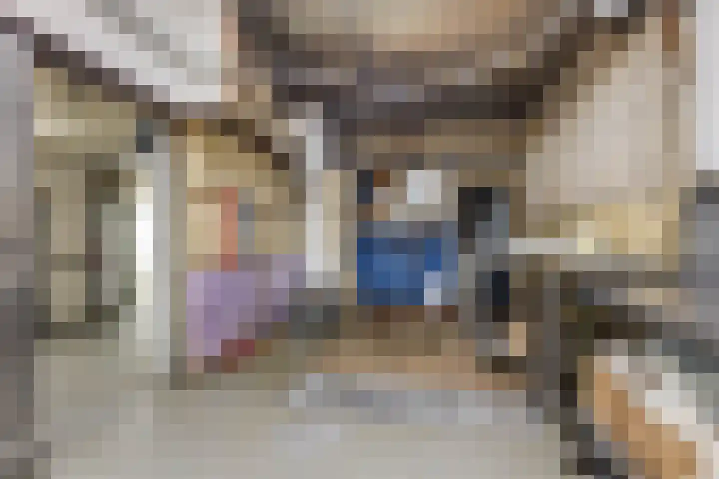 Dorine Verschureplein 13 a Elsloo thumbnail 54
