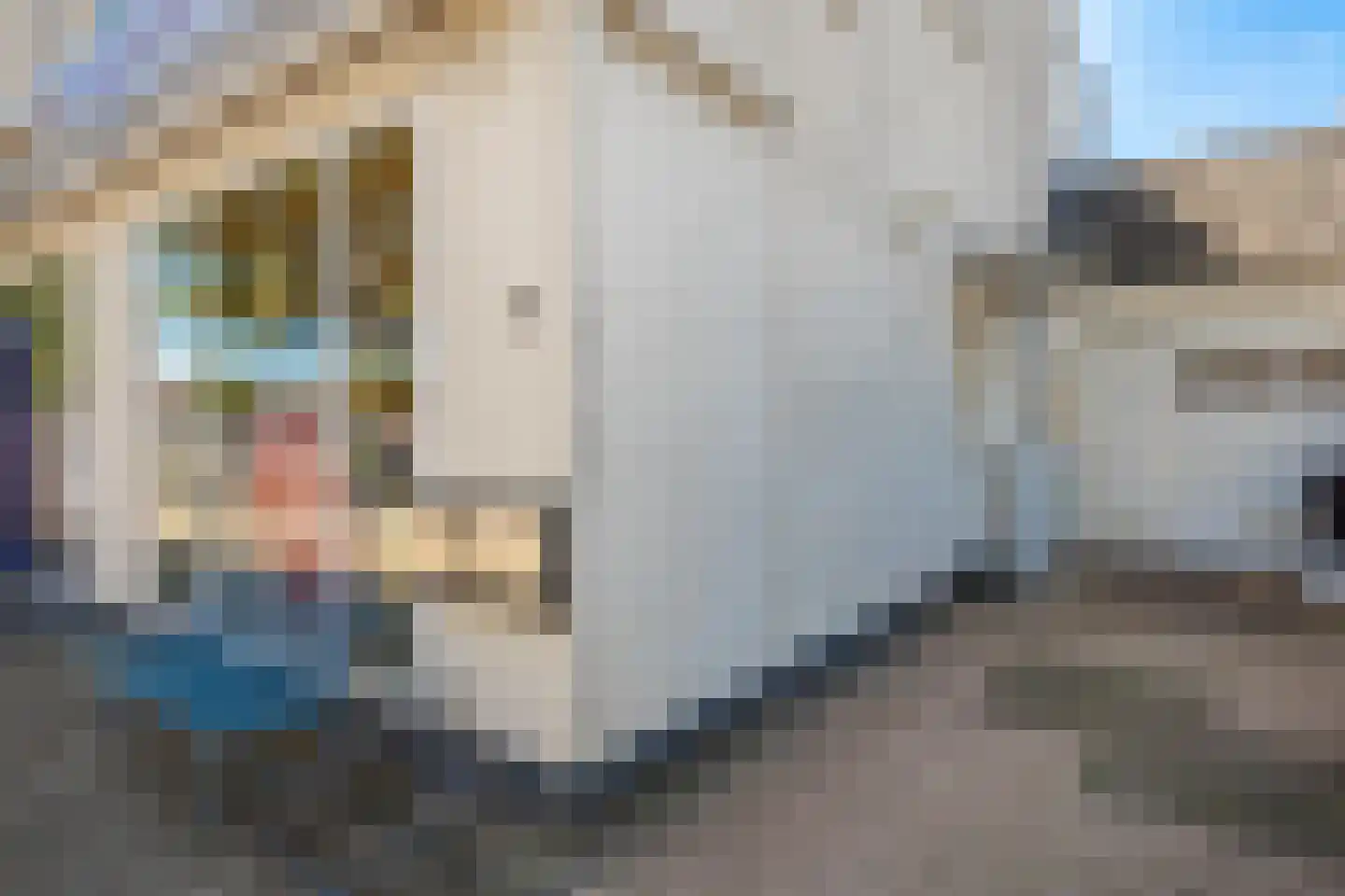 Dorine Verschureplein 13 a Elsloo thumbnail 9