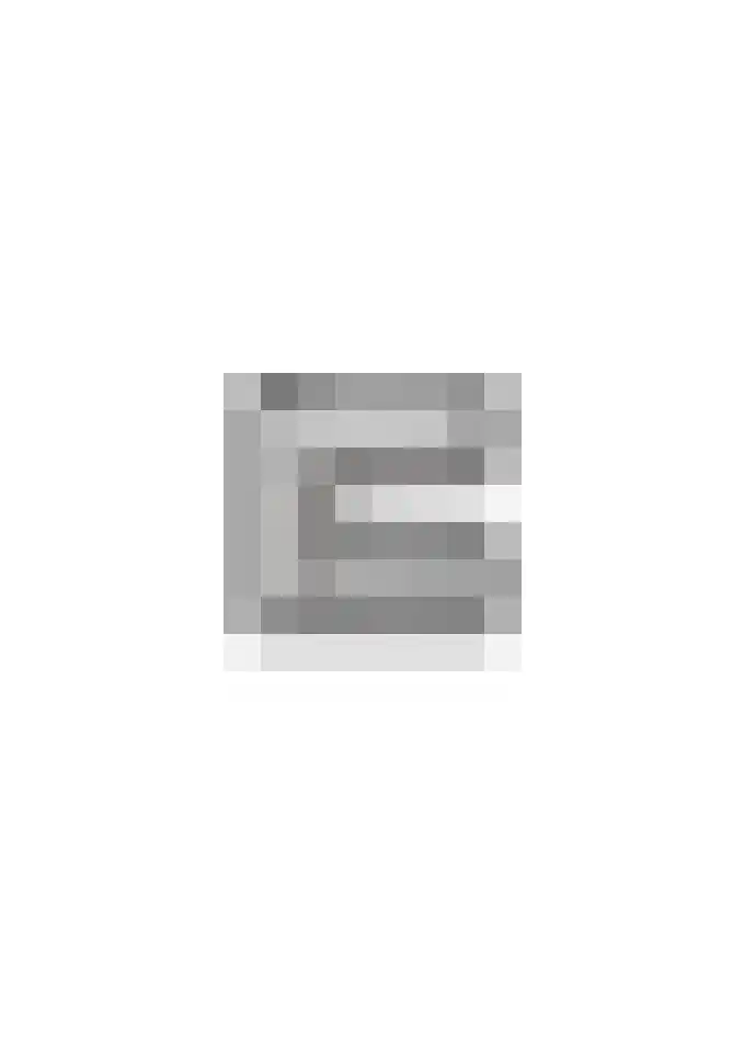 Dorine Verschureplein 14 Elsloo thumbnail 36