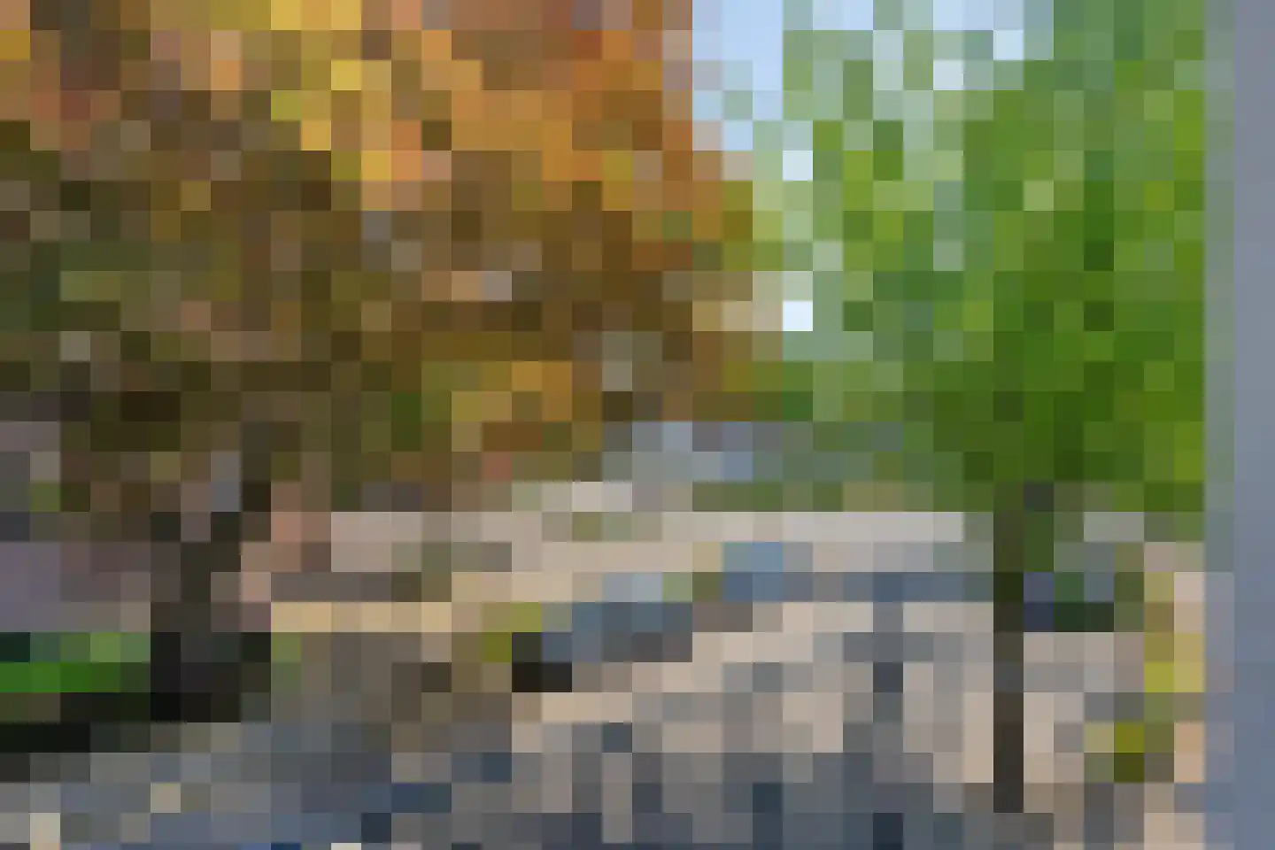 Dorine Verschureplein 14 Elsloo thumbnail 8