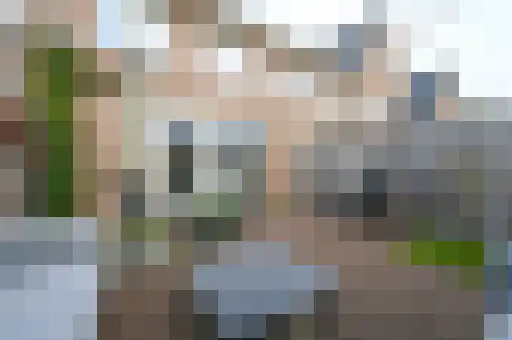 Doris Lessinglaan 100 Den Haag thumbnail 20