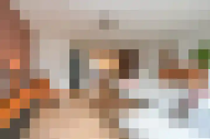 Doris Lessinglaan 100 Den Haag thumbnail 21