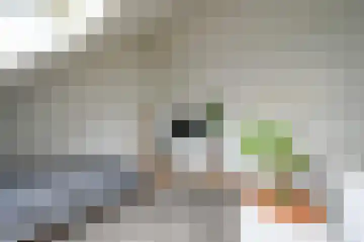 Doris Lessinglaan 100 Den Haag thumbnail 43