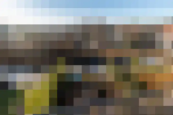 Doris Lessinglaan 126 Den Haag thumbnail 25