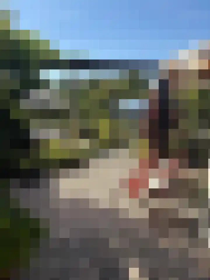 Doris Lessinglaan 126 Den Haag thumbnail 26