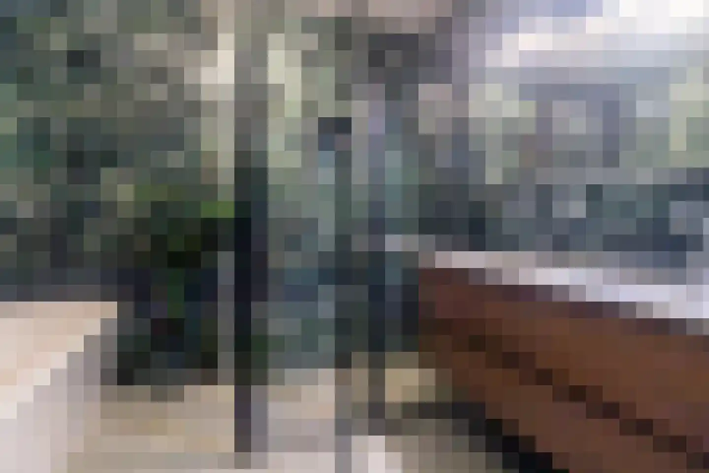 Doris Lessinglaan 126 Den Haag thumbnail 37