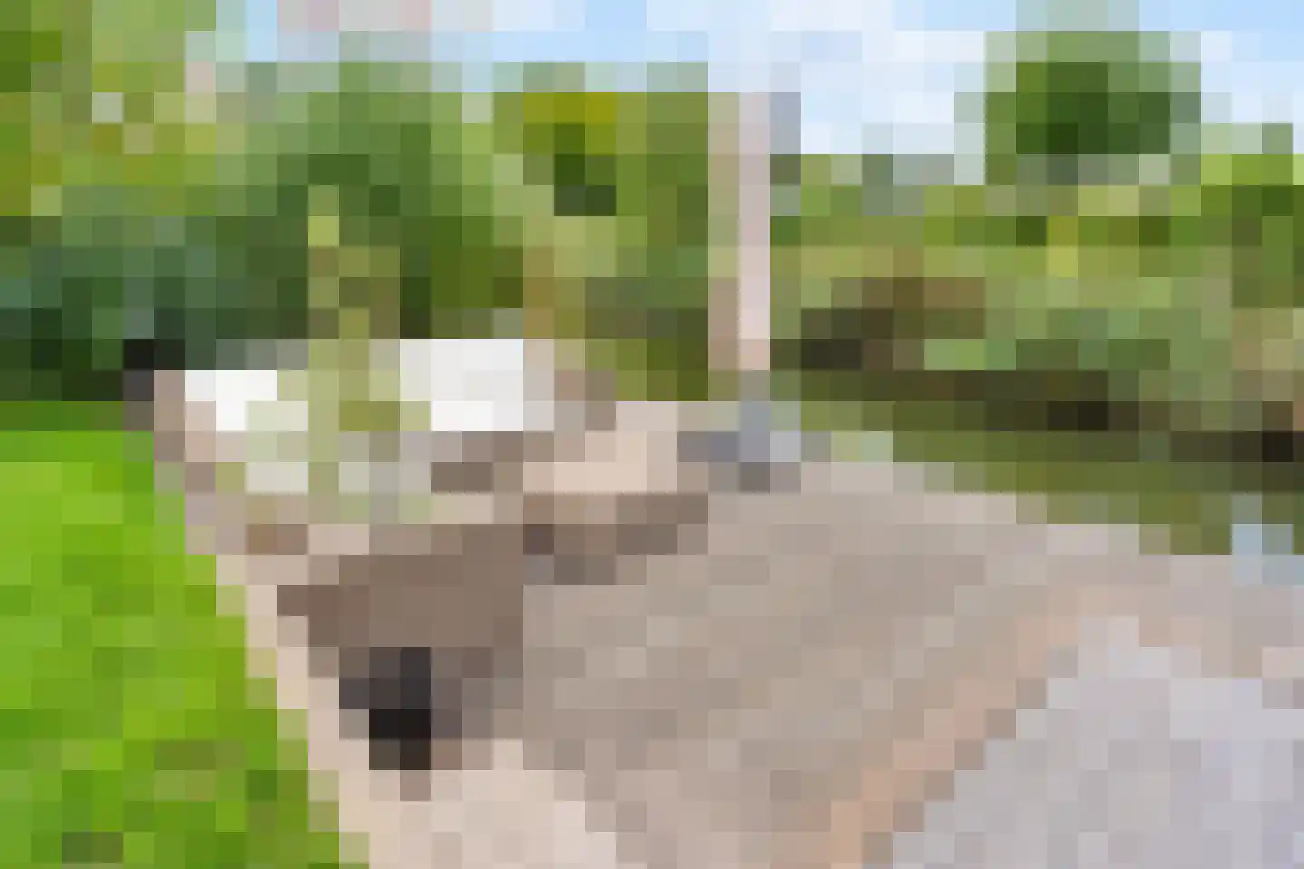 Doris Lessinglaan 130 Den Haag thumbnail 32
