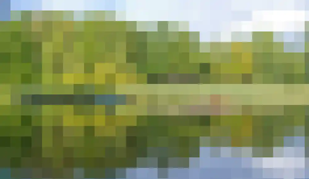 Doris Lessinglaan 130 Den Haag thumbnail 68