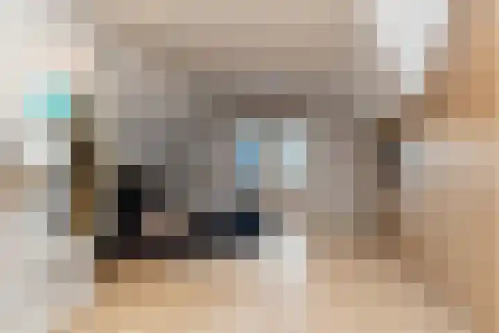 Doris Lessinglaan 86 Den Haag thumbnail 34