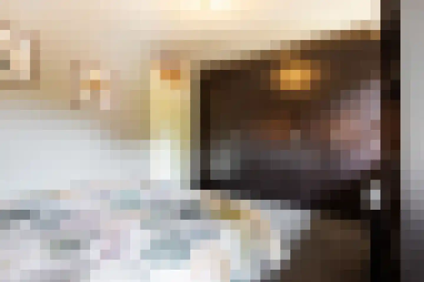 Dorlandsweer 22 Sliedrecht thumbnail 15