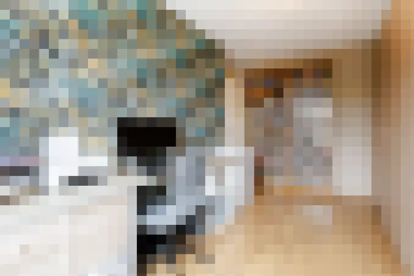 Dorlandsweer 22 Sliedrecht thumbnail 17