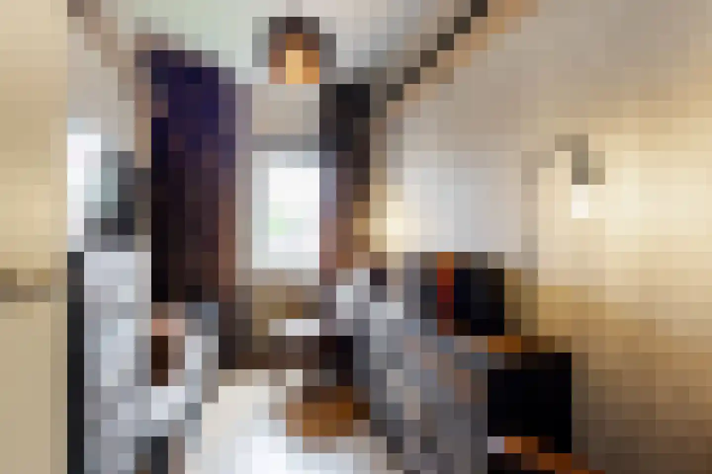 Dorlandsweer 22 Sliedrecht thumbnail 18
