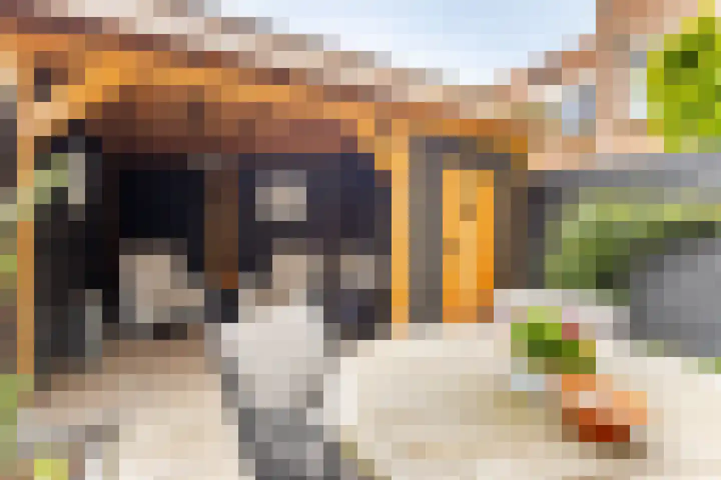 Dorlandsweer 22 Sliedrecht thumbnail 20