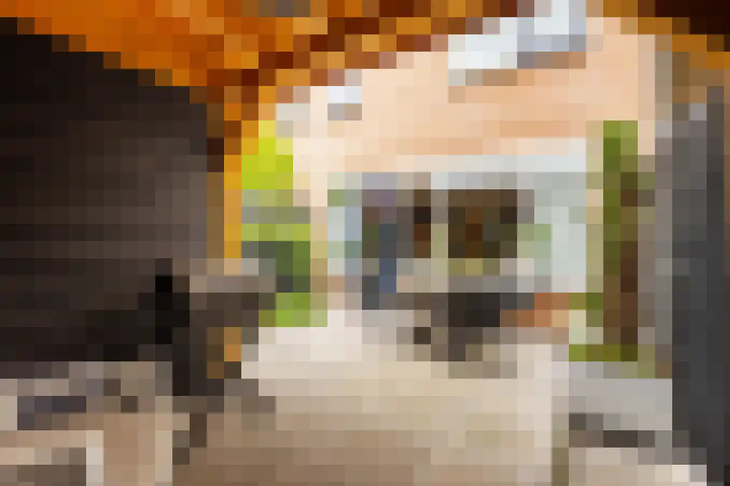Dorlandsweer 22 Sliedrecht thumbnail 21