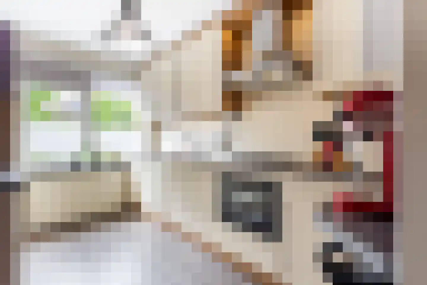 Dorlandsweer 22 Sliedrecht thumbnail 7