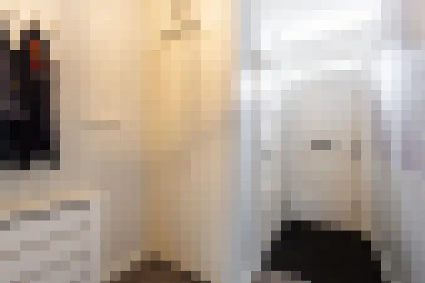 Dorlandsweer 22 Sliedrecht thumbnail 9