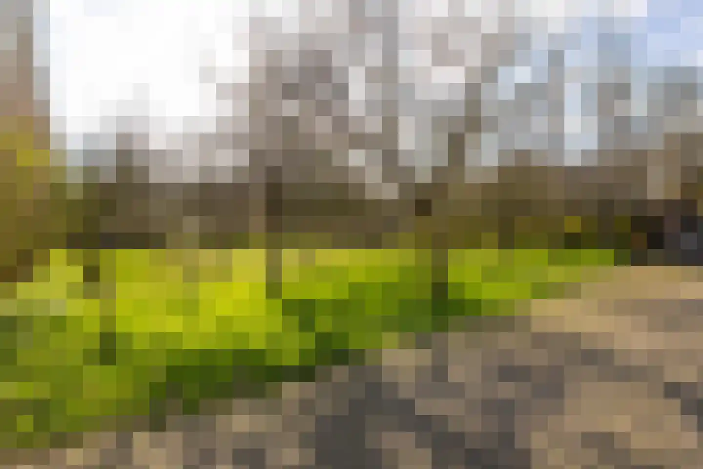 Dorlandsweer 25 Sliedrecht thumbnail 21