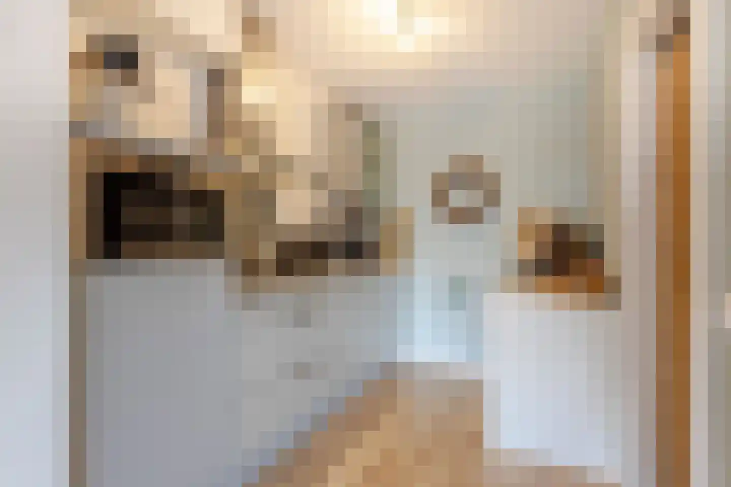 Dorlandsweer 25 Sliedrecht thumbnail 7