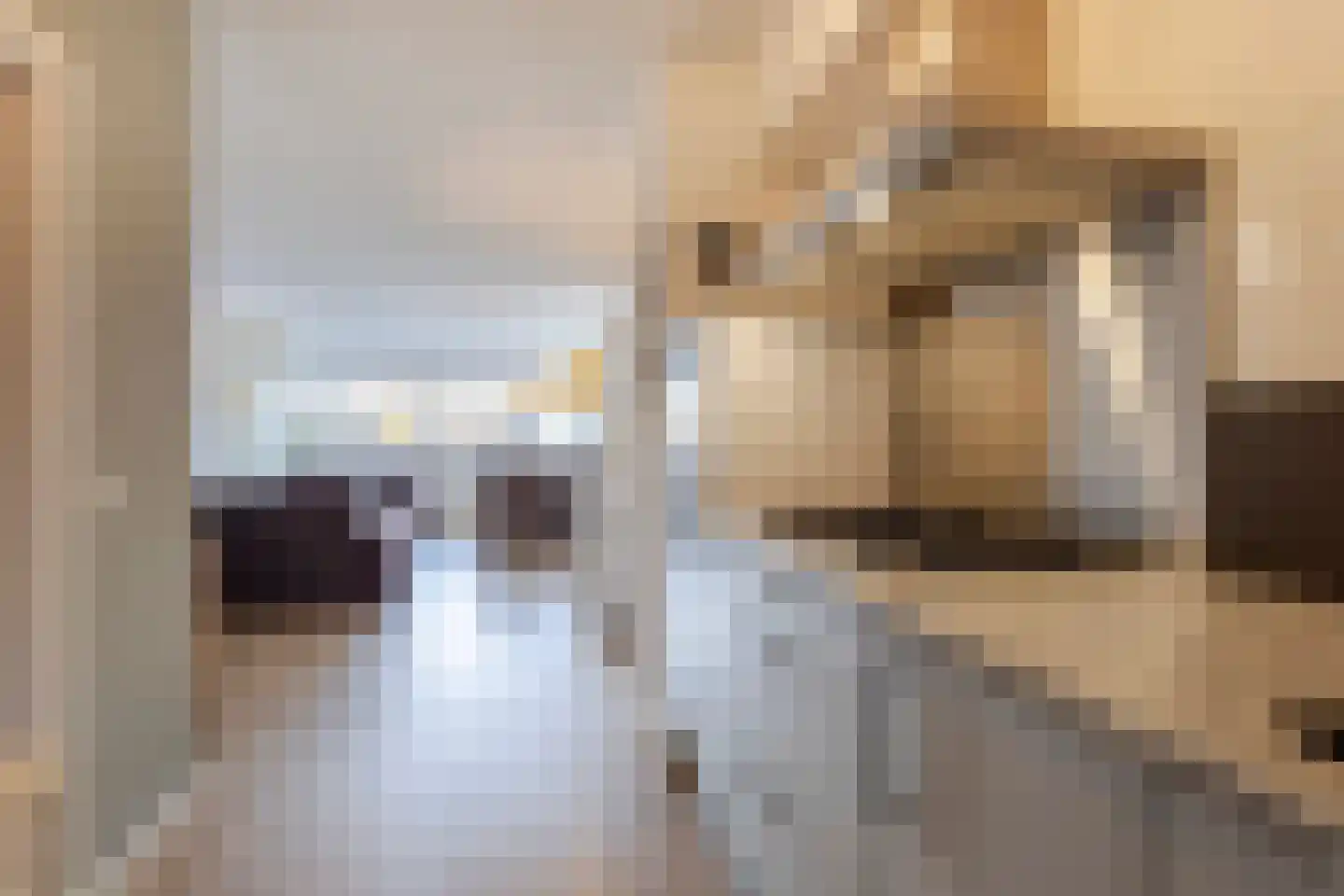 Dorlandsweer 25 Sliedrecht thumbnail 9