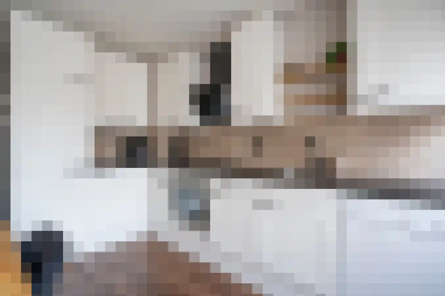 Dorlandsweer 36 Sliedrecht thumbnail 11