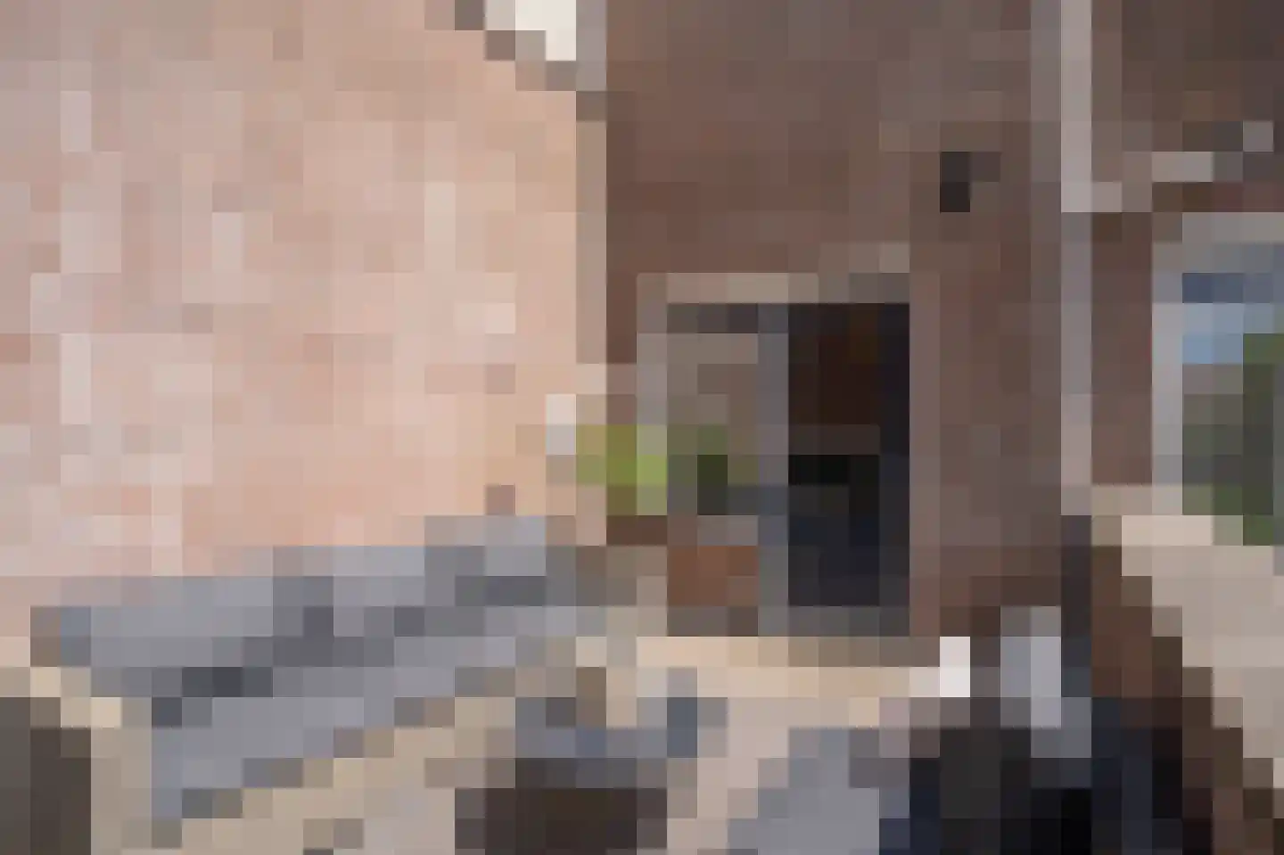 Dorlandsweer 36 Sliedrecht thumbnail 19