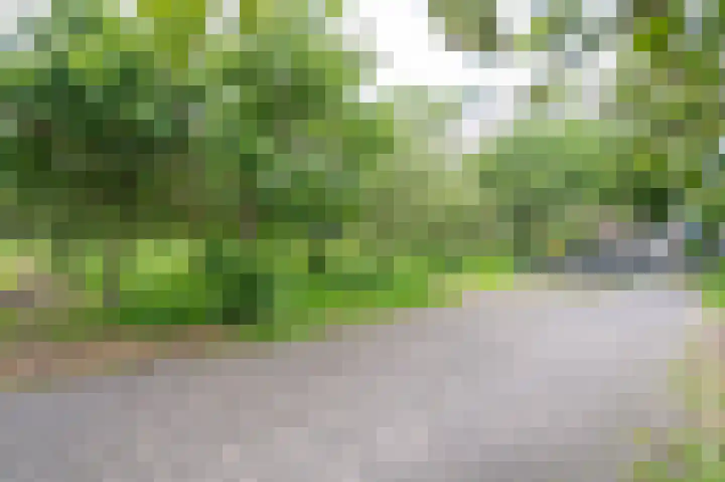 Dorlandsweer 36 Sliedrecht thumbnail 22