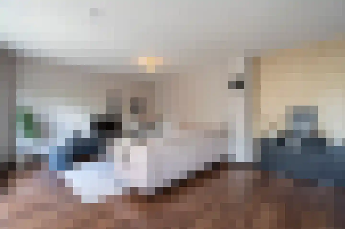 Dorlandsweer 36 Sliedrecht thumbnail 7
