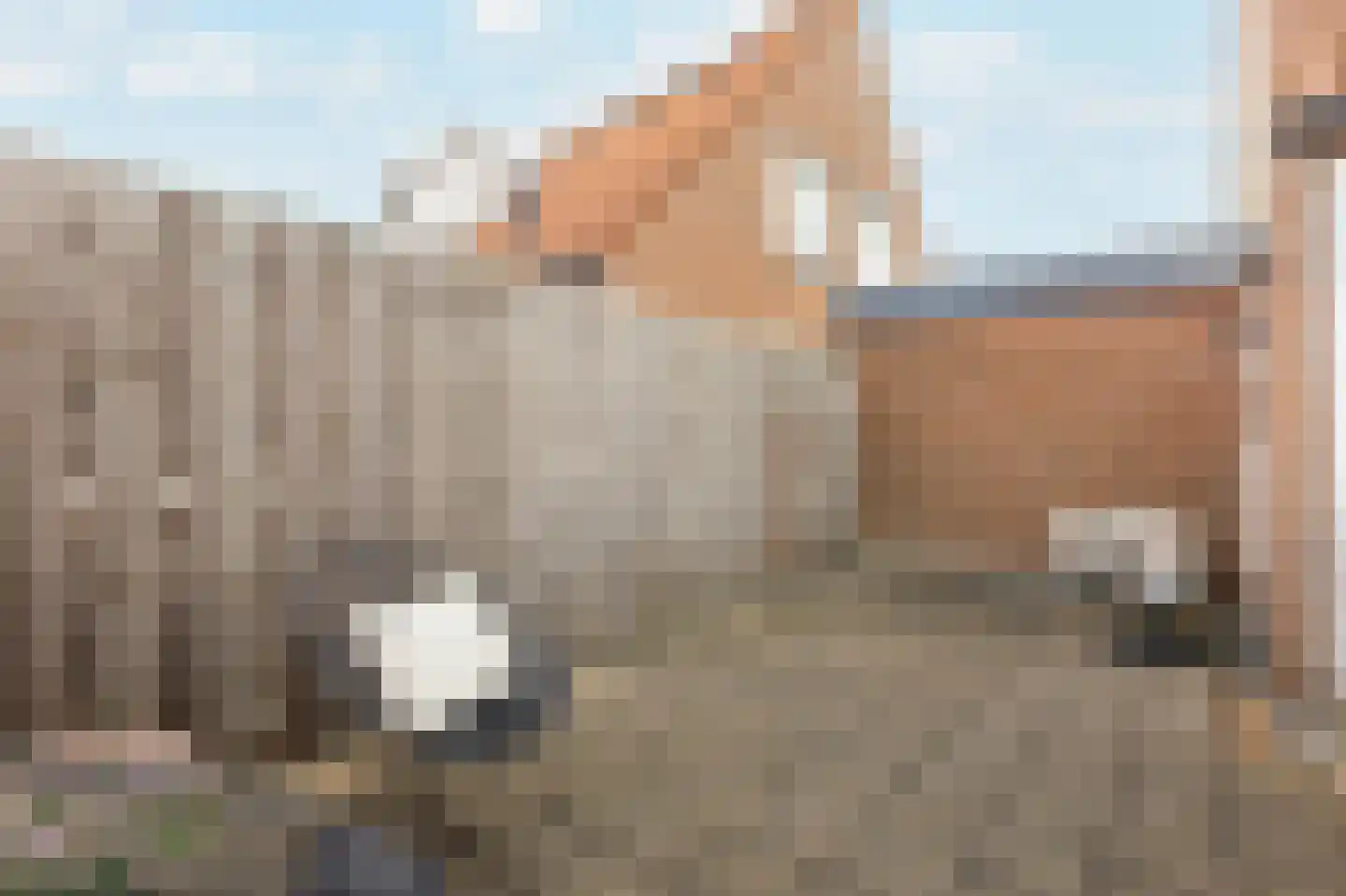 Dorlandsweer 84 Sliedrecht thumbnail 21